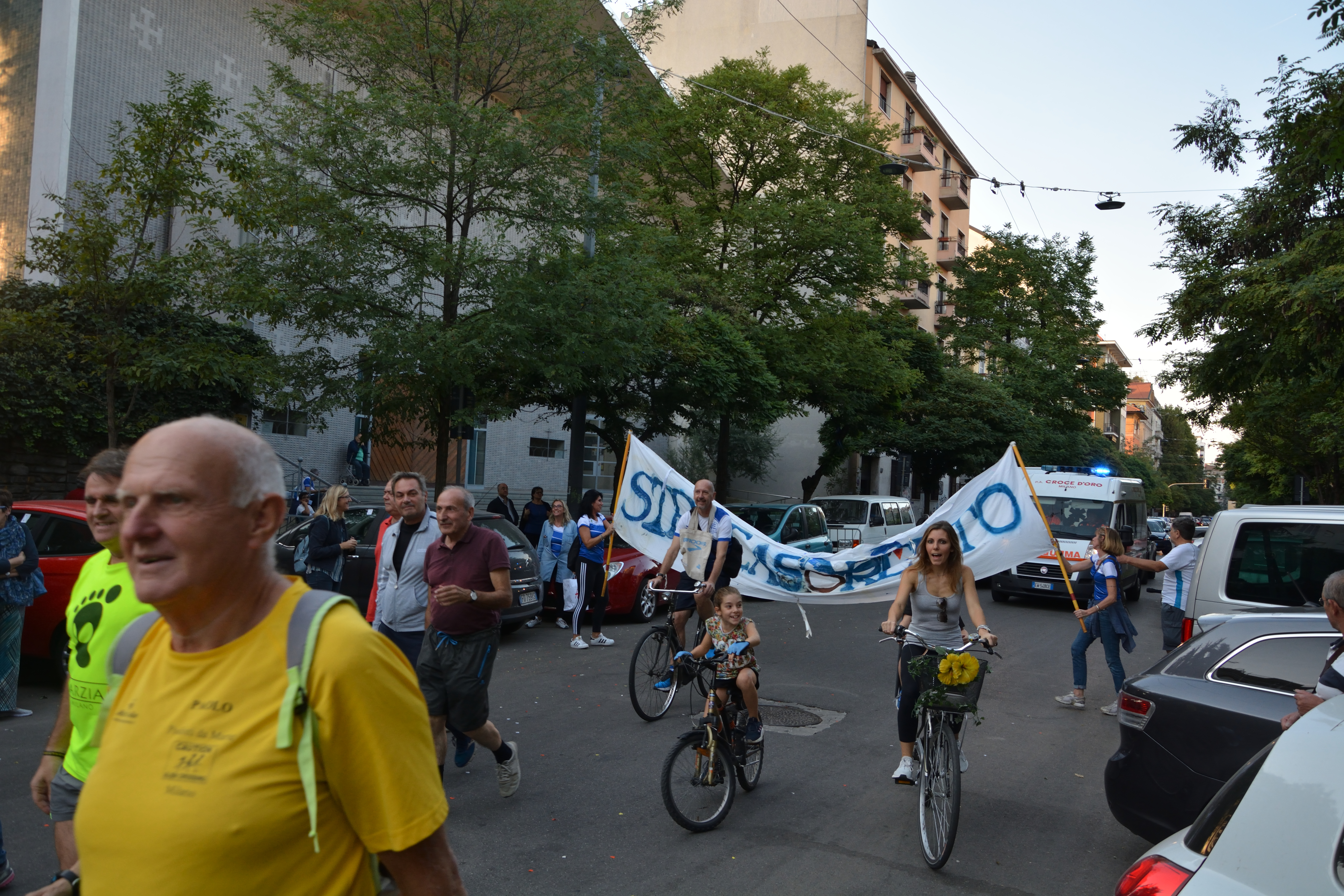 DSC_0231